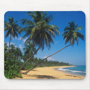 Puerto Rico, Isla Verde, Palmen. Mousepad