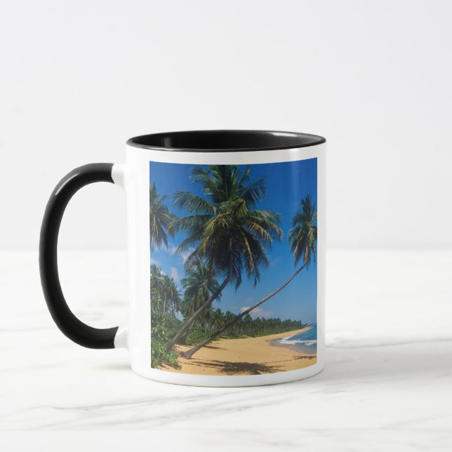 Puerto Rico, Isla Verde, Palmen. Tasse (Links)