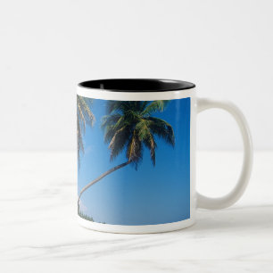 Puerto Rico, Isla Verde, Palmen. Zweifarbige Tasse