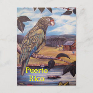 Puerto Rico Postcard Postkarte