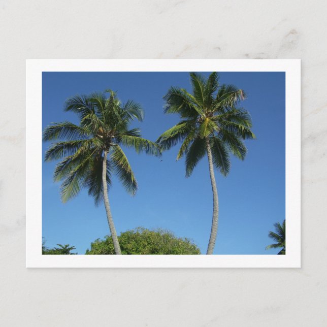 Puerto Rico Postkarte (Vorderseite)