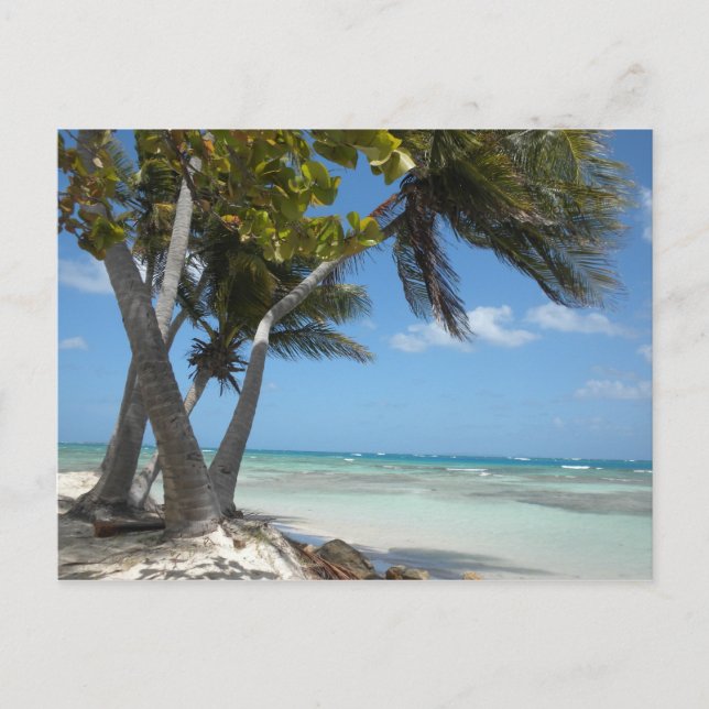 Puerto Rico Postkarte (Vorderseite)