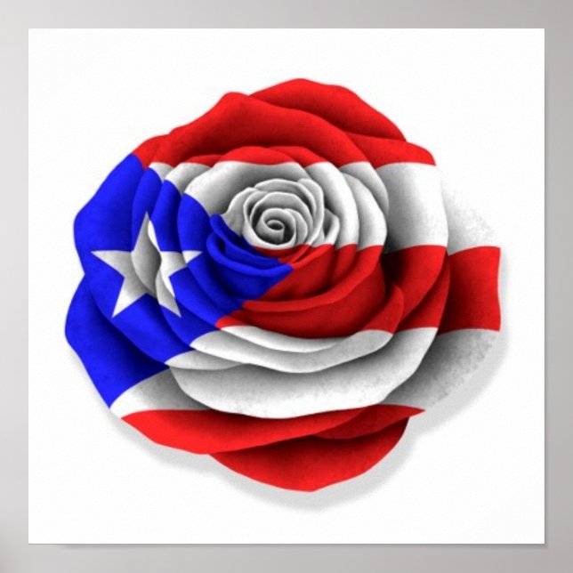 Puerto-Rico-Rose-Flag auf Weiß Poster (Vorne)
