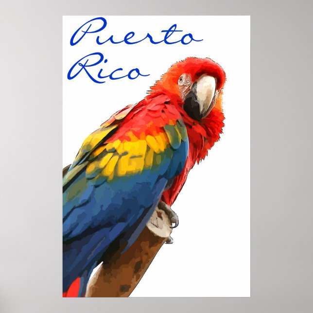Puerto Rico Scarlet Macaw Poster (Vorne)
