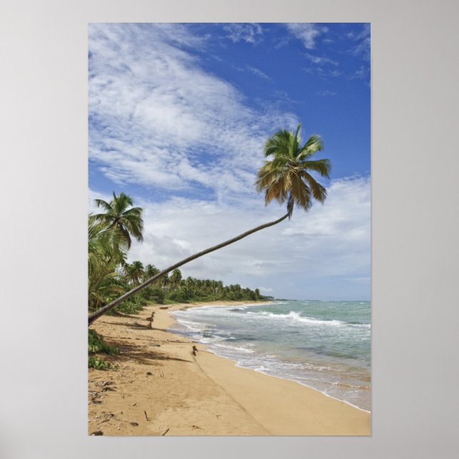 Puerto Rico. Tres Palmitas Beach Puerto Rico Poster (Vorne)