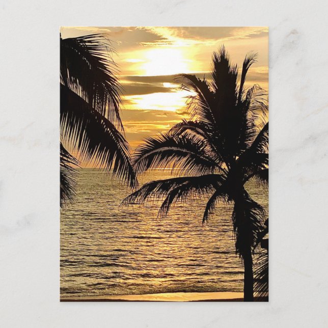 Puerto Vallarta Golden Sommer Sonnenuntergang Postkarte (Vorderseite)