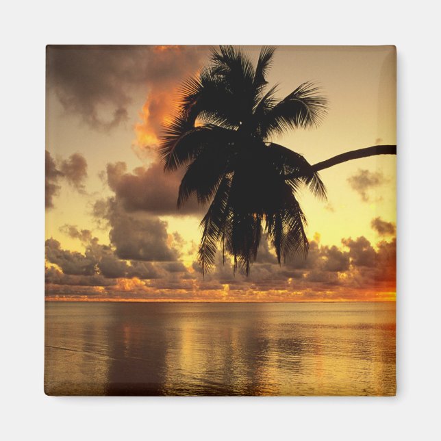 Puerto Vallarta Magnet (Vorne)