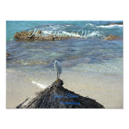 Puerto Vallarta Mexiko-Garza Blanca Fotodruck