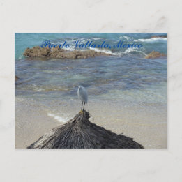 Puerto Vallarta, Mexiko. Garza Blanca Postkarte
