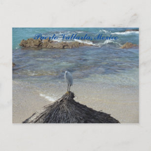 Puerto Vallarta, Mexiko. Garza Blanca Postkarte