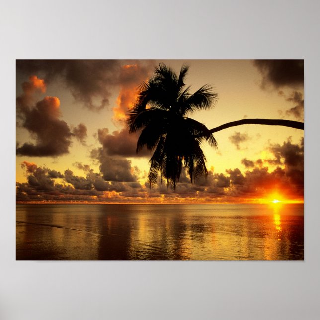 Puerto Vallarta Poster (Vorne)