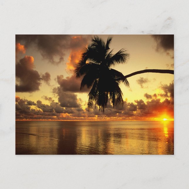 Puerto Vallarta Postkarte (Vorderseite)