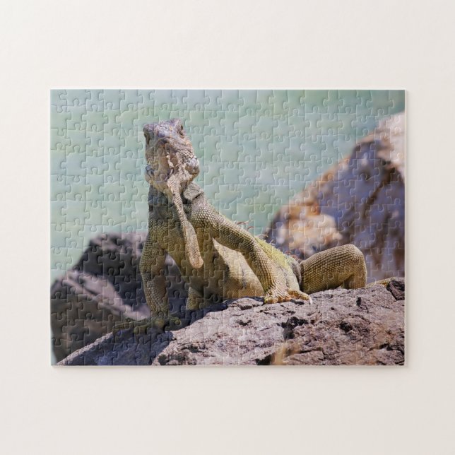 Puertorikanischer großer Leguan Puzzle (Horizontal)