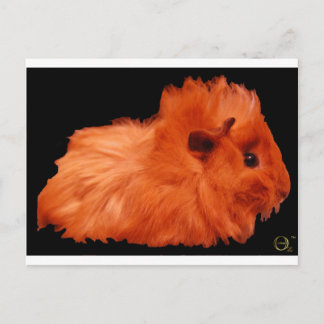 Puff Postkarte