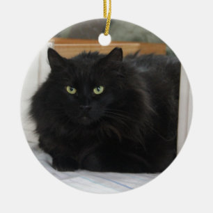 Puffball Keramikornament