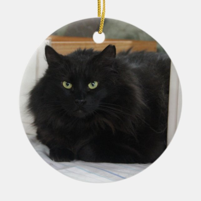 Puffball Keramikornament (Vorne)