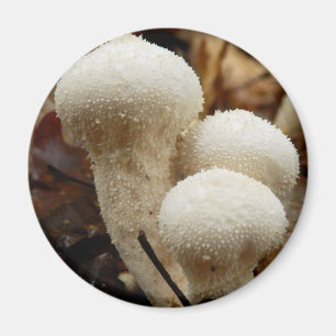 Puffball-Mushroom-Magnet Magnet