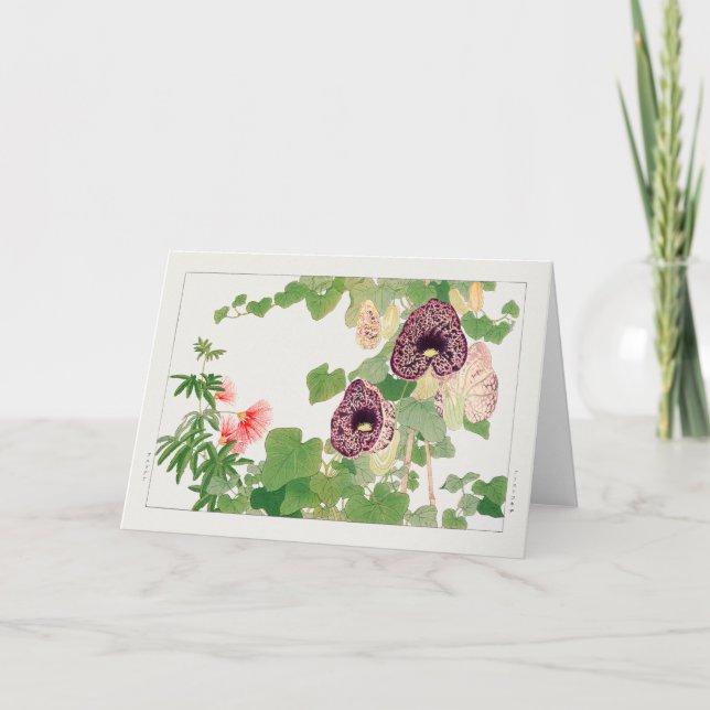 Puffbaum, Calico Blume von Tanigami Konan Karte (Vorderseite)