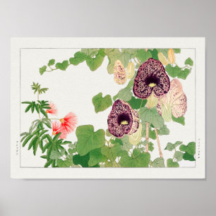 Puffbaum, Calico Blume von Tanigami Konan Poster