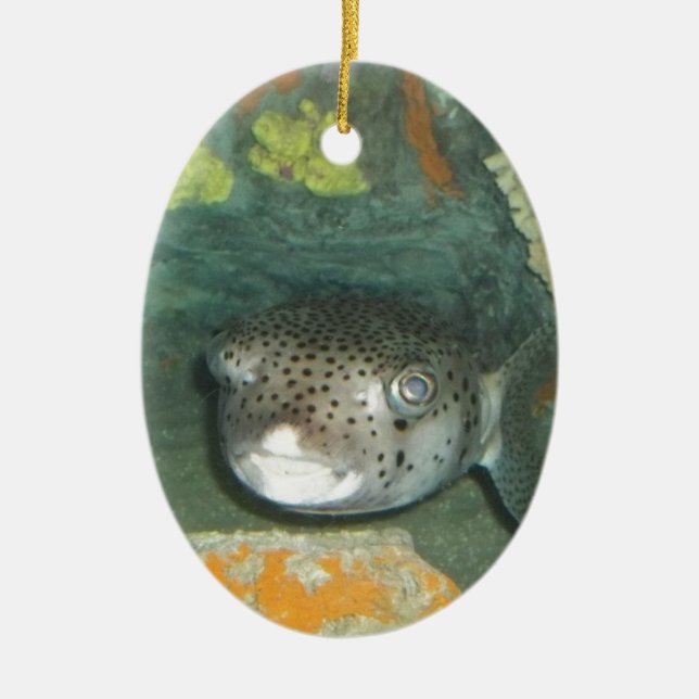 Puffer-Fische Keramik Ornament (Vorne)