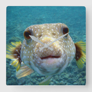 ***PUFFER FISH*** FUN CLOCK QUADRATISCHE WANDUHR