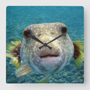 ***PUFFER FISH*** FUN CLOCK QUADRATISCHE WANDUHR
