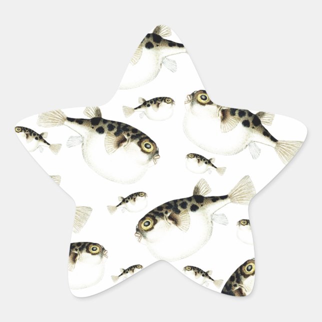 Puffer Fish White Muster Stern-Aufkleber (Vorderseite)