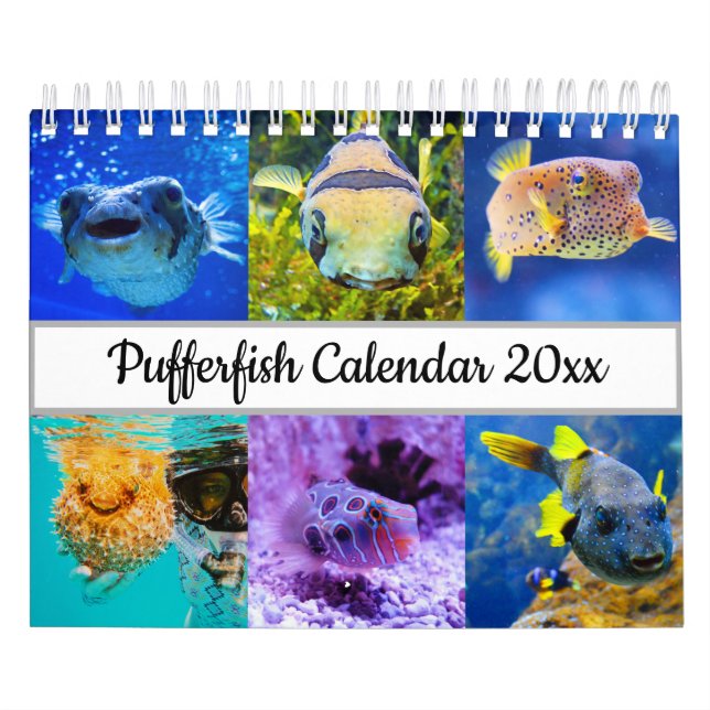 Puffer Kalender (Titelbild)