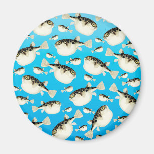 Pufffisch blau magnet