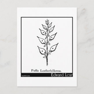 Puffia Leatherbellowsa. Postkarte