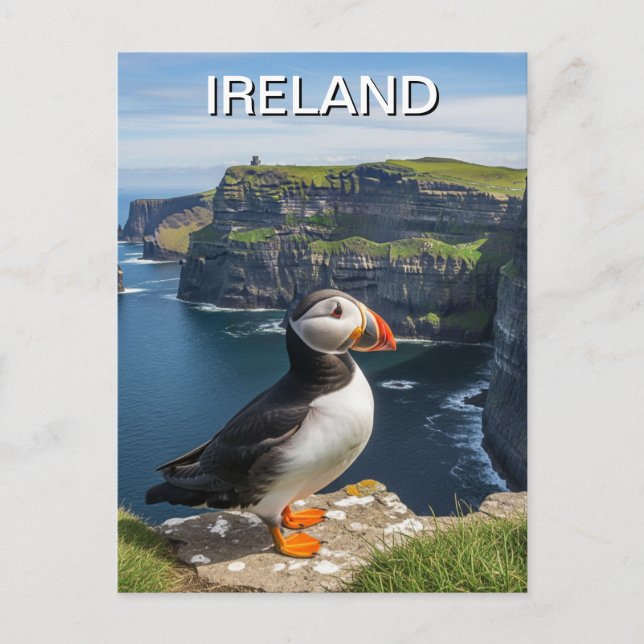 Puffin bei Cliffs of Moher Ireland Travel Postkarte (Vorderseite)