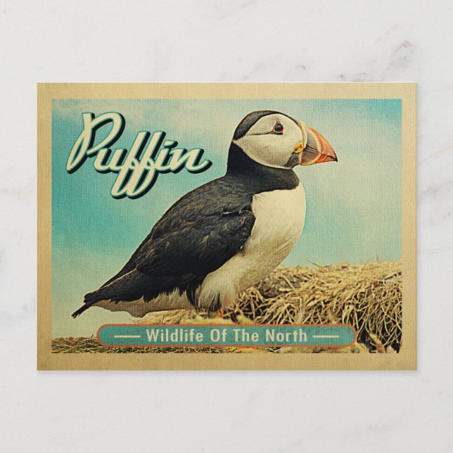 Puffin Bird Postcard - Wildlife of the North Postkarte (Vorderseite)