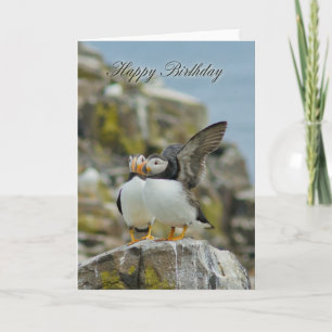 Puffin Birthday Greeting Card Karte