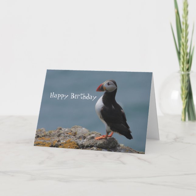 Puffin Birthday Greetings Karte (Vorderseite)