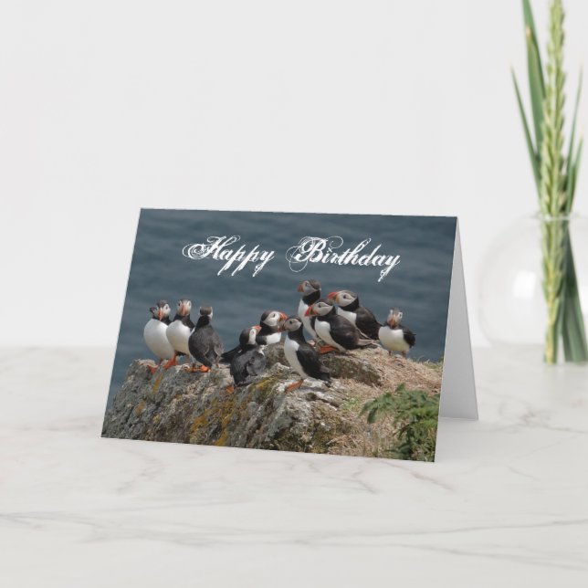 Puffin Birthday Greetings Karte (Vorderseite)