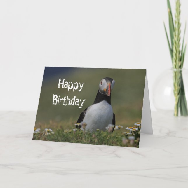 Puffin Birthday Greetings Karte (Vorderseite)