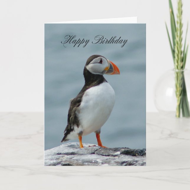 Puffin Birthday Grußkarte Karte (Vorderseite)