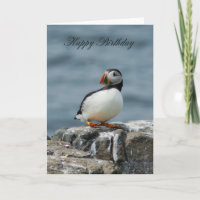 Puffin Birthday Grußkarte