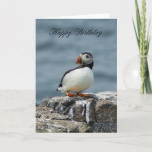 Puffin Birthday Grußkarte Karte