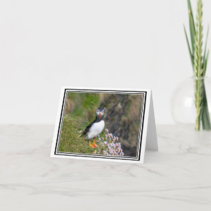 Puffin! Die Insel Staffa (Schottland) Karte