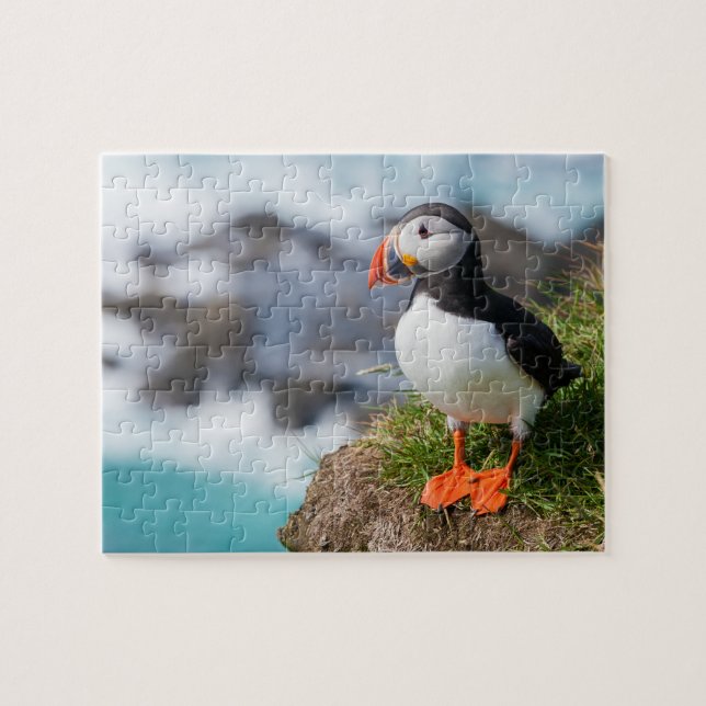 Puffin Fatercula Arctica Puzzle (Horizontal)