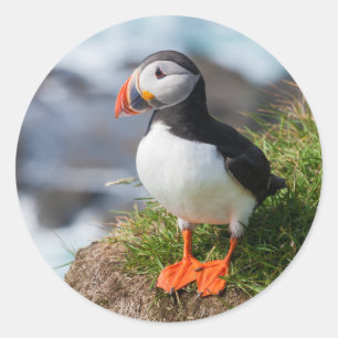 Puffin Fatercula Arctica Runder Aufkleber