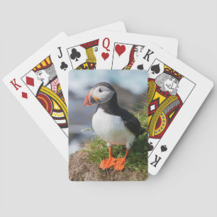 Puffin Fatercula Arctica Spielkarten