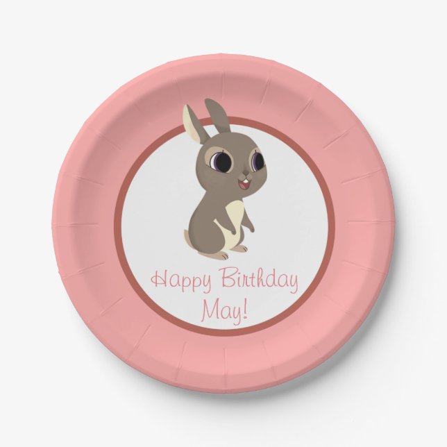 Puffin-Felsen-Party-Platte - können Sie Pappteller (Vorderseite)