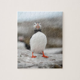 Puffin-Foto 8" x 10" Foto-Puzzlespiel mit Puzzle