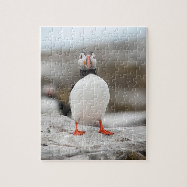 Puffin-Foto 8" x 10" Foto-Puzzlespiel mit Puzzle (Vertikal)