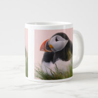 Puffin (Fratercula arctica)