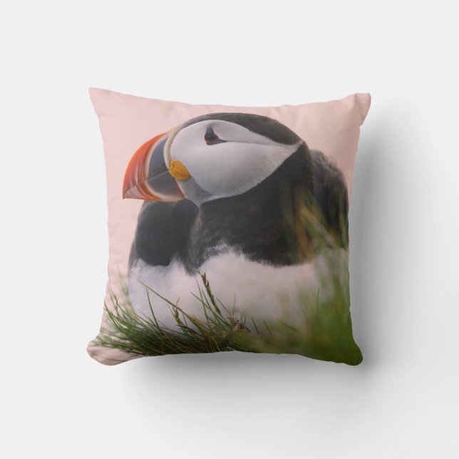 Puffin (Fratercula arctica) Kissen (Vorderseite)