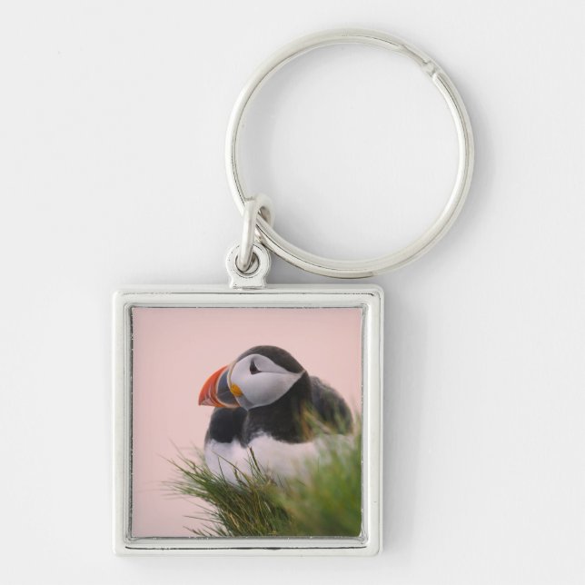 Puffin (Fratercula arctica) Schlüsselanhänger (Vorne)
