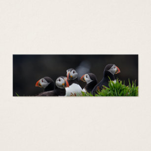 Puffin-Gruppen-Visitenkarte